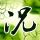 被炸弹包裹炸伤女子最新发声